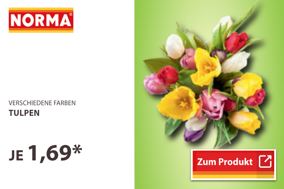 Tulpen