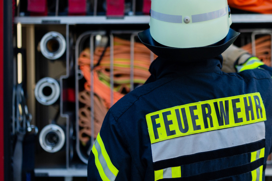 Flammen mit schrecklichen Folgen: Frau verletzt, ihr Hund hat keine Chance