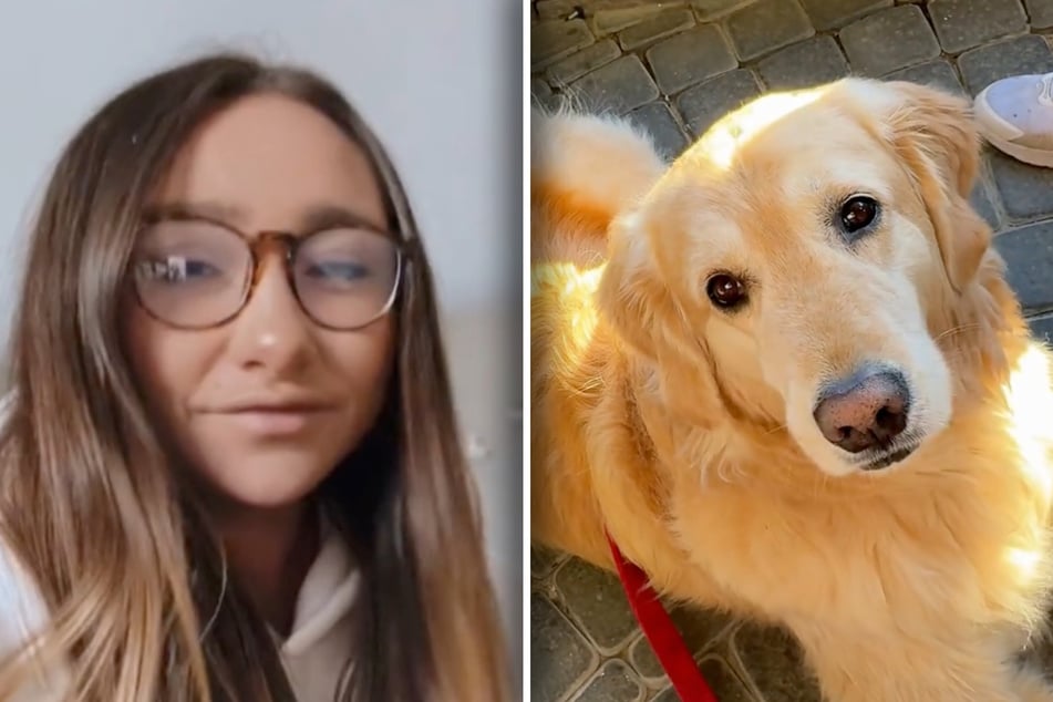 Kevins Besitzerin musste nach ihrem Urlaub einiges mit ihm "durchmachen".