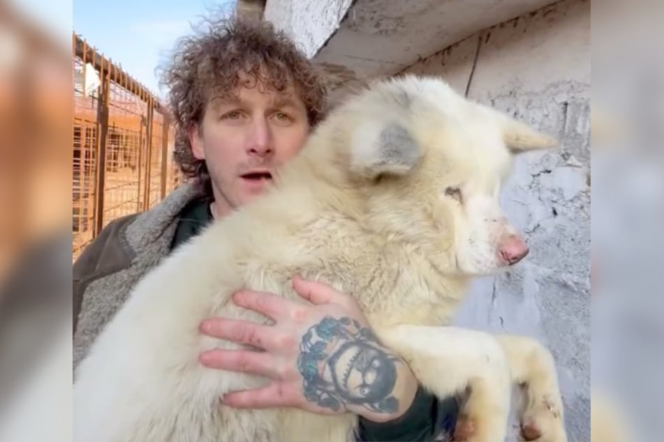 Malte Zierden (33) hat den blinden Akita "Taro" aus einer rumänischen Hundetötungsstation gerettet.
