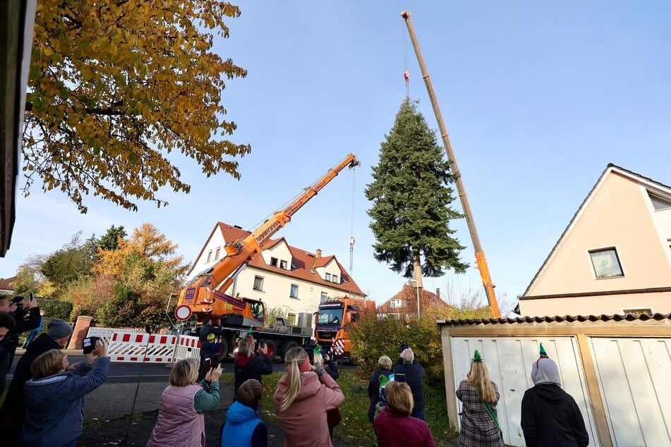 Ein Kran hievte den 22 Meter langen Baum auf einen Schwerlasttransporter ...
