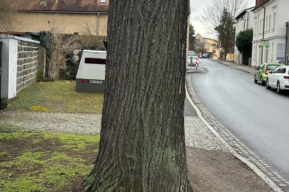 Wer versteckt sich denn da? Es ist der Superblitzer.