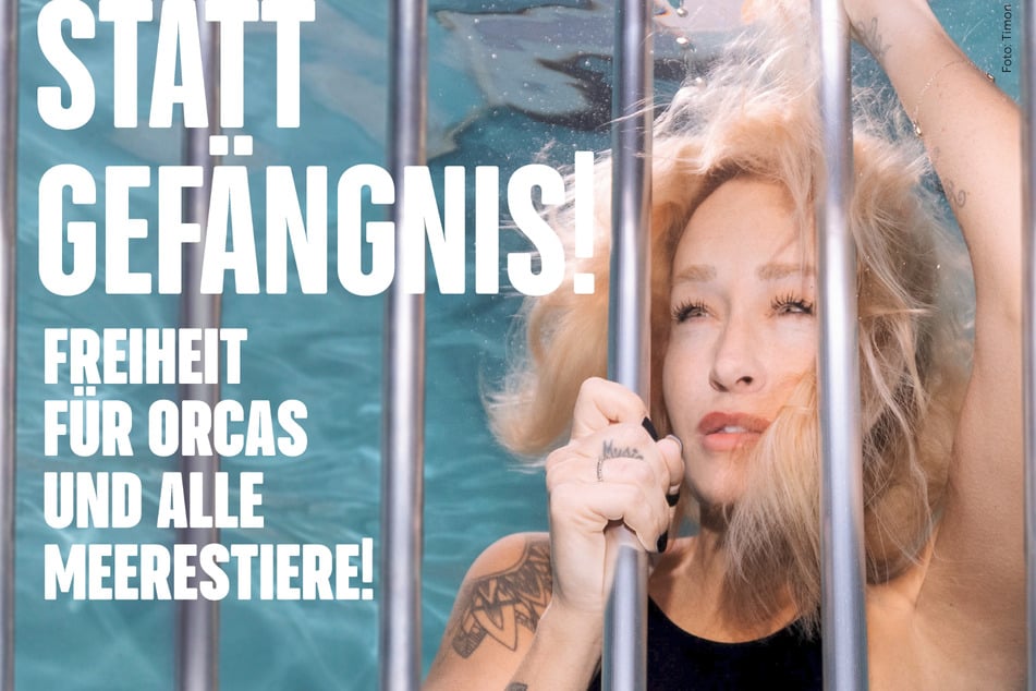Sarah Connor unter Wasser: Für diese Tiere setzt sich die Sängerin ein