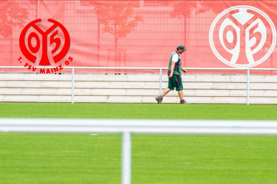 Keine weiteren positiven Fälle bei Mainz 05: Rückkehr ins Teamtraining
