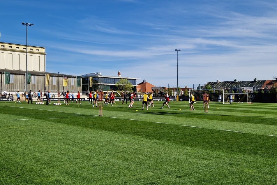 Die Dynamos bereiten sich intensiv auf das bevorstehende Heimspiel gegen den 1. FC Kaiserslautern vor.