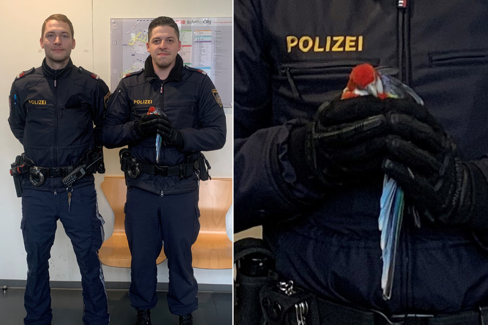 Inspektor Matthias G. (l) und Revierinspektor Patrick M. konnten den Papagei mit viel Geduld einfangen.