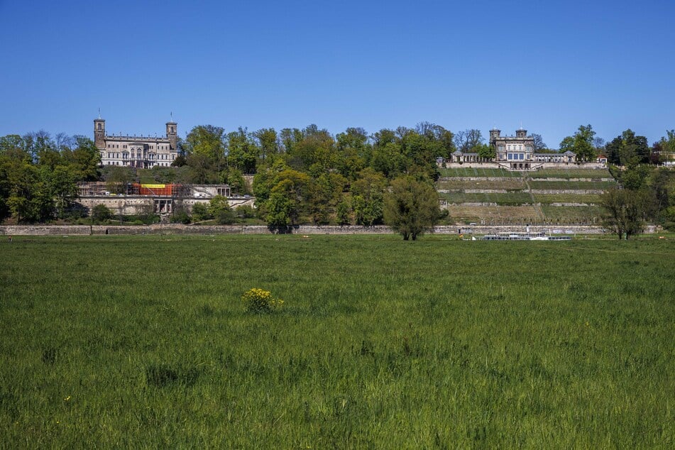 Der Verein will das historische Ensemble zusammen denken und erhalten: Links Schloss Albrechtsberg, rechts das Lingnerschloss.