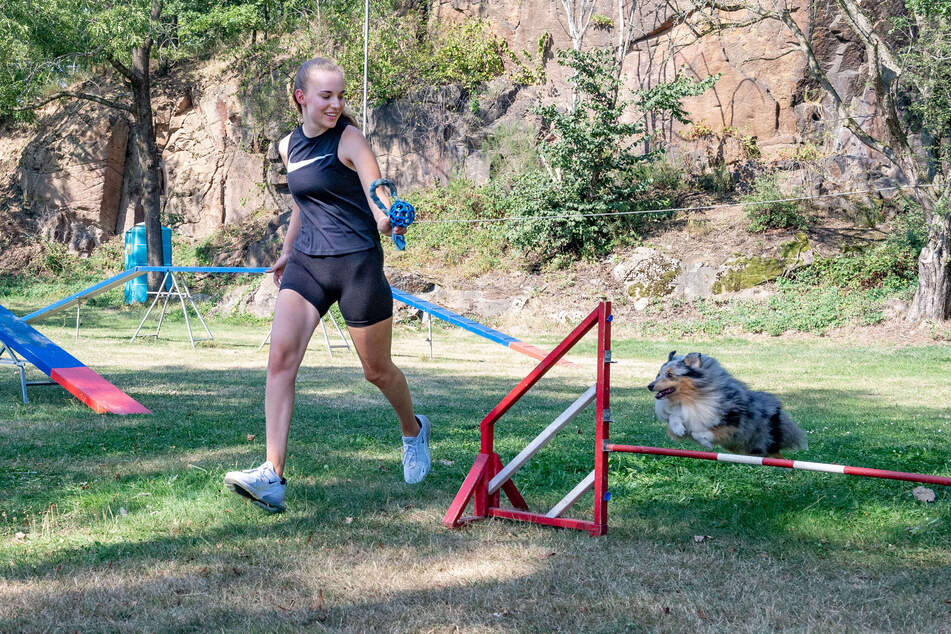 Durante el entrenamiento en la pista de deportes caninos, Willy mejora sus saltos sobre obstáculos. La dueña, Daria, siempre corre a su lado.