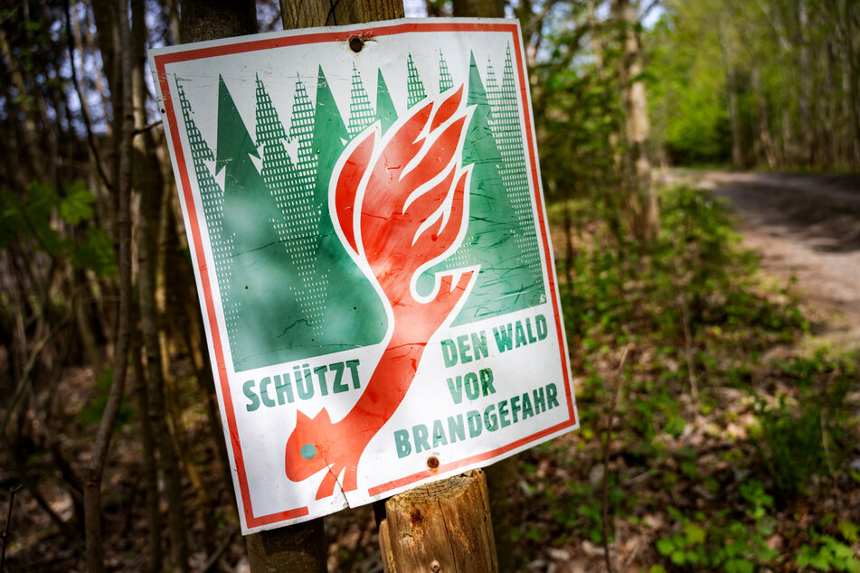 Das Eichhörnchen mit dem roten Schwanz, der an eine lodernde Flamme erinnert, als Symbol für die Gefahr: In Brandenburg hat die Waldbrand-Saison begonnen. (Symbolbild)