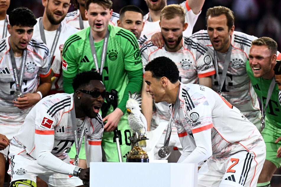 Die Bayern-Spieler haben den Kakadu bei einer Party mitgehen lassen und ihn zu ihrem neuen Maskottchen erkoren.