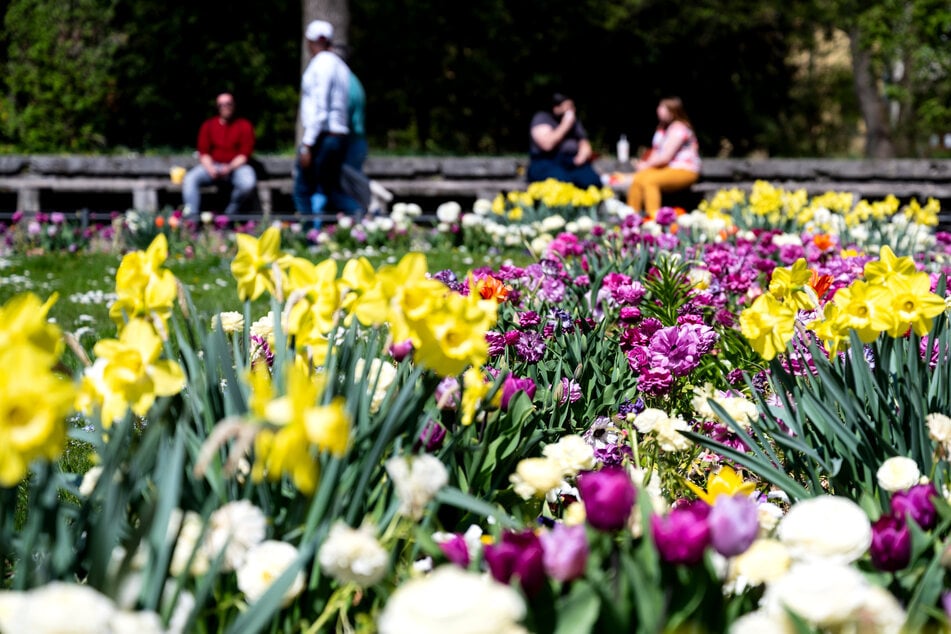 Der Alte Botanische Garten in München gilt schon lange als einer der Kriminalitäts-Hotspots der Landeshauptstadt.