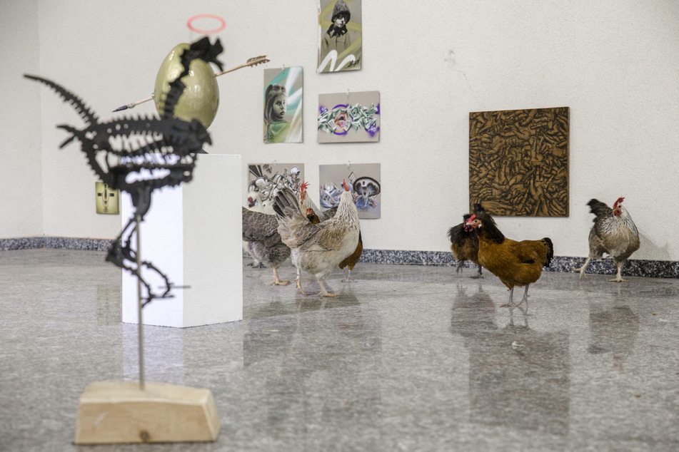 Auf das Huhn gekommen: Eine Kunst-Ausstellung ausschließlich über und für Geflügel.