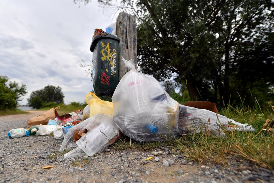 Abfall und Lebensmittelreste ziehen Ratten an.