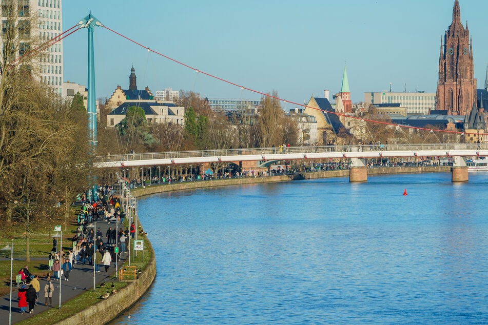 Am Mainufer auf Höhe des Holbeinstegs stieß der 34-Jährige seine Freundin plötzlich ins Wasser.