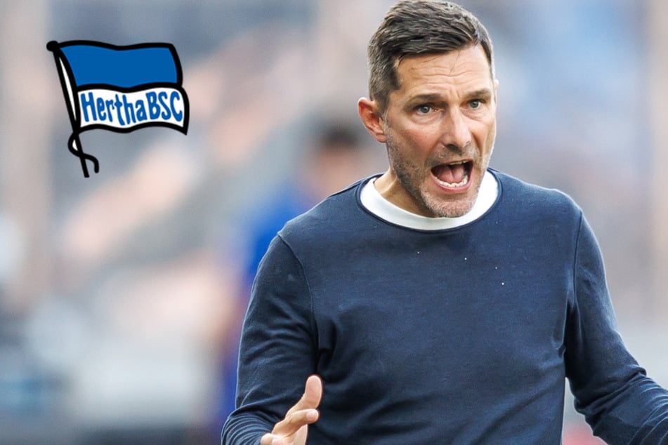 Hertha-Krise immer schlimmer: Muss Leitl jetzt um seinen Job zittern?