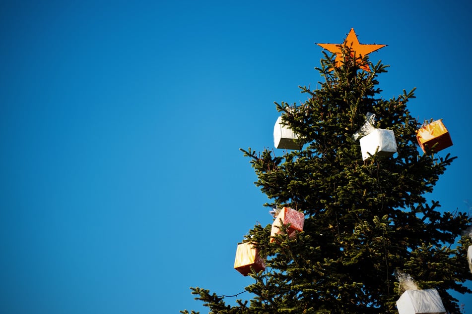 Weihnachtsbäume werden jedes Jahr auch auf öffentlichen Plätzen aufgestellt. (Symbolbild)