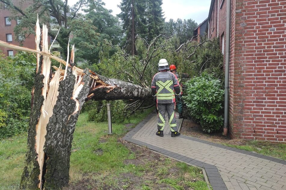 Mit schweren Motorsägen musste die Feuerwehr Norderstedt umgekippte Bäume entfernen.