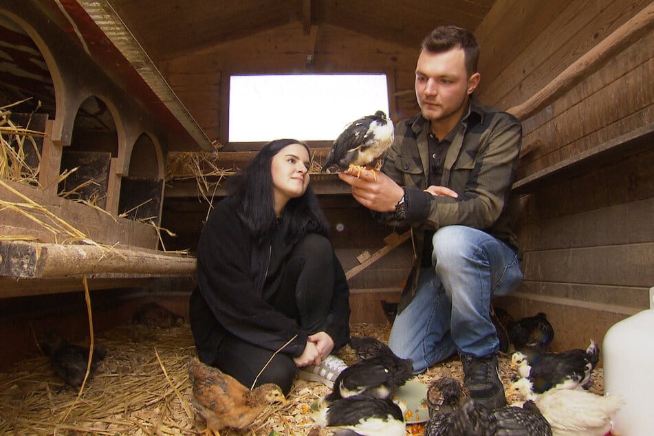 Wenn die beiden sich gemeinsam um die Tiere kümmern, glätten sich die Wogen.