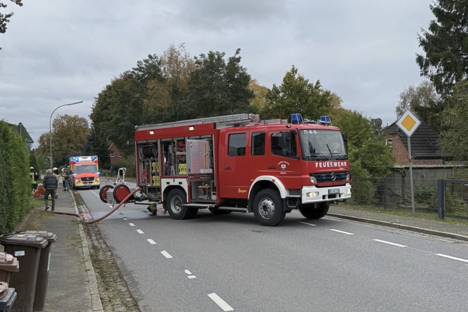 Zwei Hunde sind durch den Brand gestorben. Für die Tiere konnte die Feuerwehr nichts mehr tun.