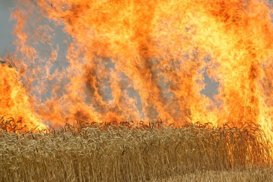 Rund 100 Feuerwehrleute kämpfen gegen die Flammen – und die Bevölkerung erhält eine Warnung.