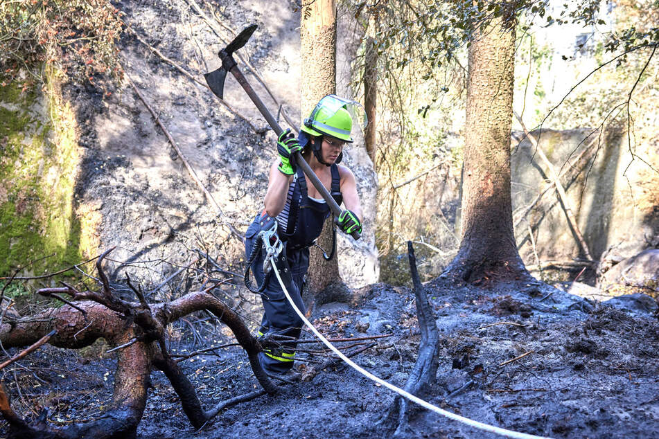 Jenny Michel lockert mit einer Hacke den verbrannten Waldboden auf. Ein Seil sichert sie bei der schweren Arbeit in dem unwegsamen Gelände.