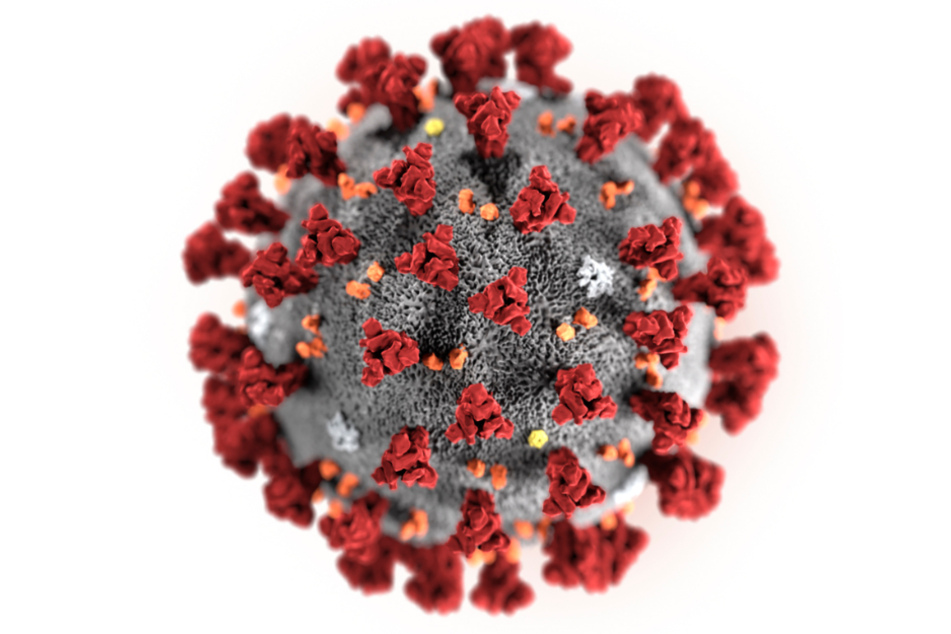 Das Coronavirus bringt die ganze Welt durcheinander.