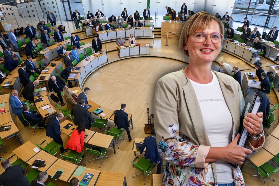 Premiere im Landtag: Öffentliche Anhörung des Petitionsausschusses - zu diesem Thema
