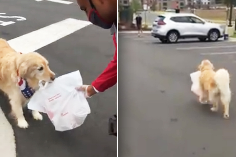 Ellie takes the take out back from a Chick-fil-A employee and runs back to Nick.