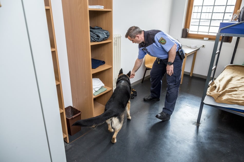 Mit einem Drogenspürhund durchsucht ein Justizbeamter die Zelle eines Insassen der JVA Dresden.