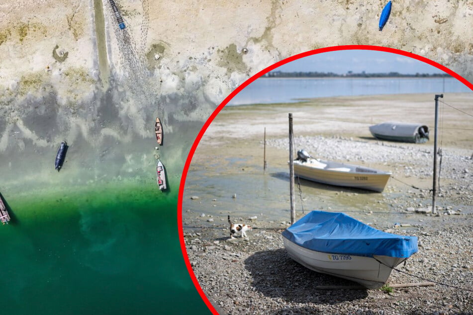 Extrem niedriges Niveau: Pegelstand am Bodensee nähert sich Negativrekord
