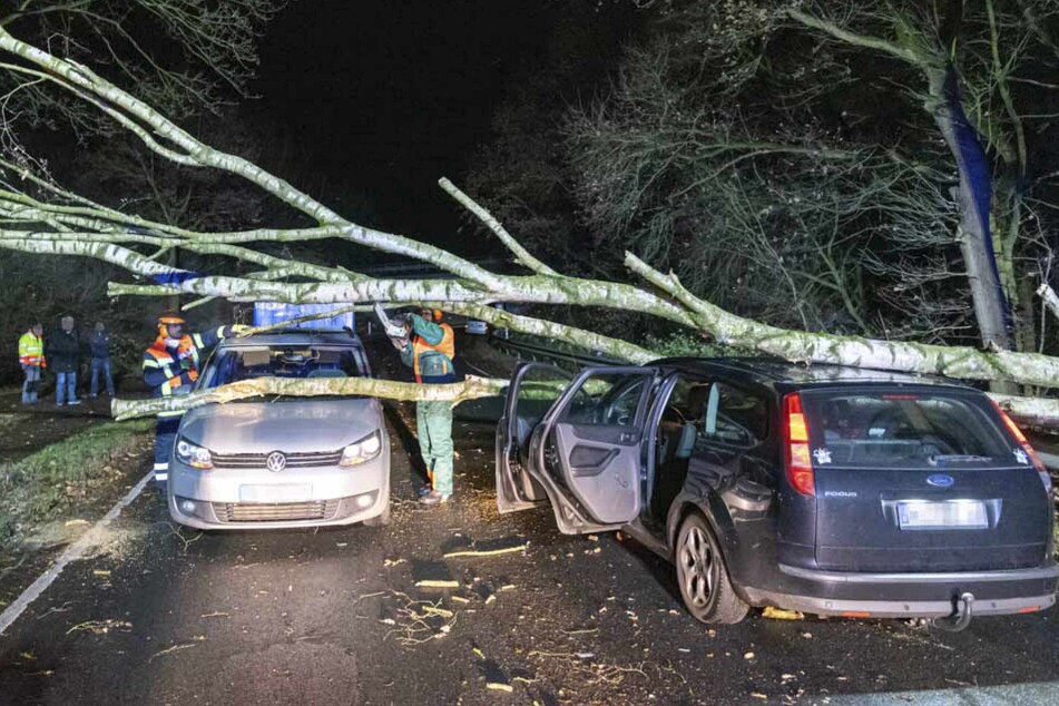 Ein Baum krachte in Seevetal-Hittfeld auf die Straße. Ein Autofahrer erkannte die Gefahr zu spät und fuhr mit seinem VW gegen den Baum.