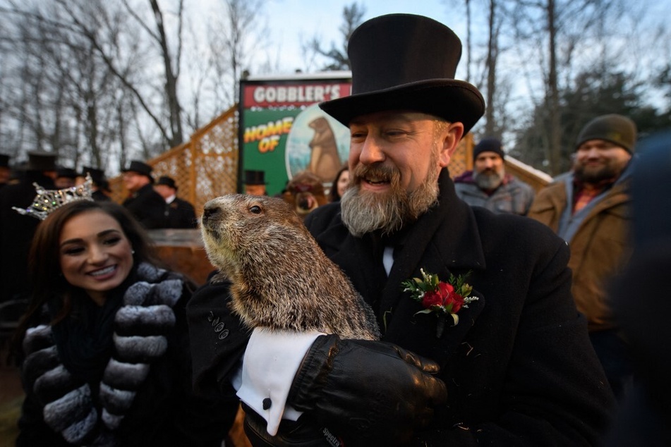 Punxsutawney Phil is the most famous weather-predicting woodchuck, giving his forecast since 1886.