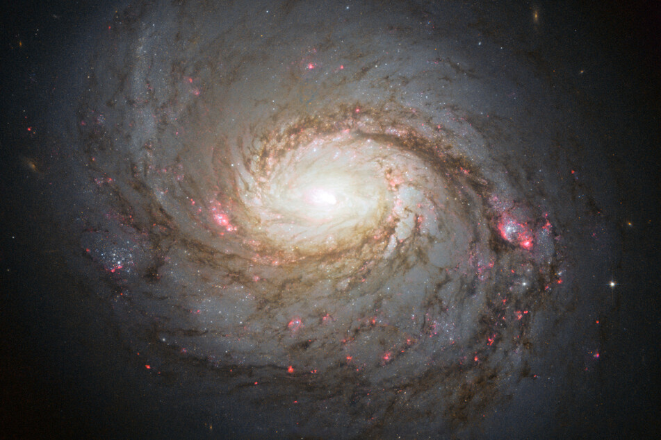 A handout photo provided on March 26, 2013, by the NASA/ESA Hubble Space Telescope shows a vivid image of the spiral galaxy Messier 77 – a galaxy in the constellation of Cetus, some 45 million light-years away from Earth.