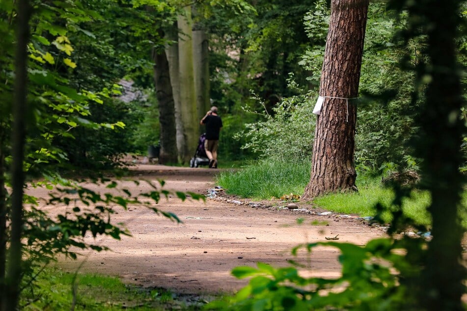 Im Waldpark Blasewitz können die Kids ihre Helden hautnah erleben. (Archivbild)