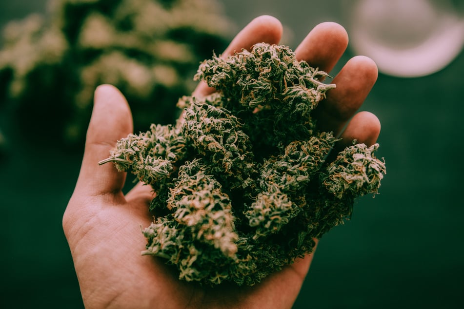Die Polizei hat nach einem Fund von 20 Tonnen Marihuana die sichergestellten Drogen in der Stadt Lice verbrannt. Anwohner klagten über Übelkeit und Schwindel. (Symbolbild)