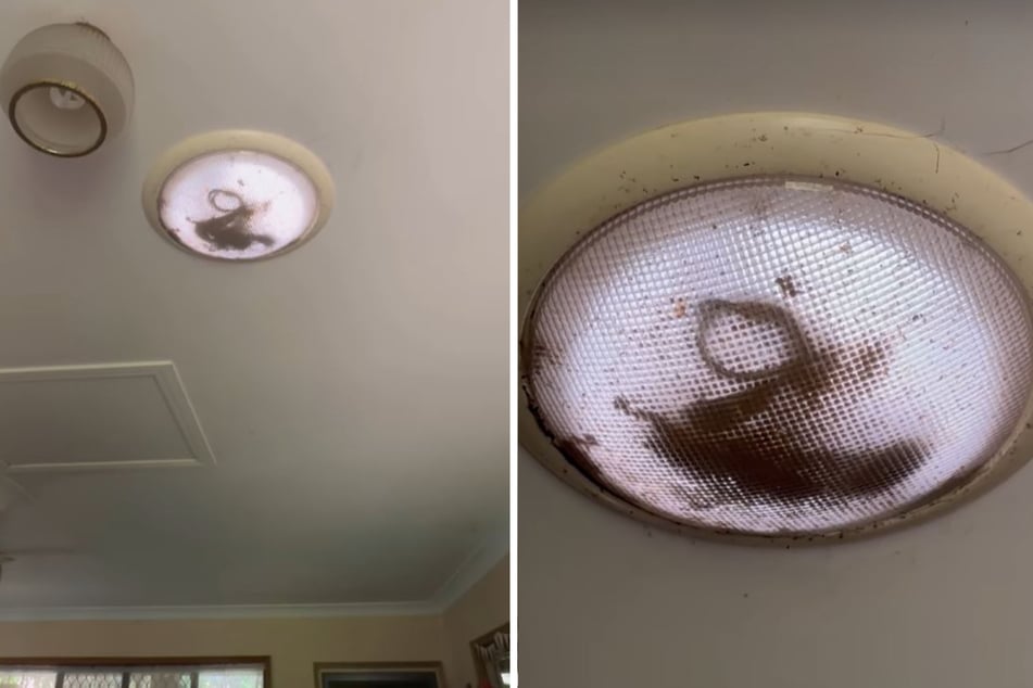 What was in the ceiling lamp of an Australian family?