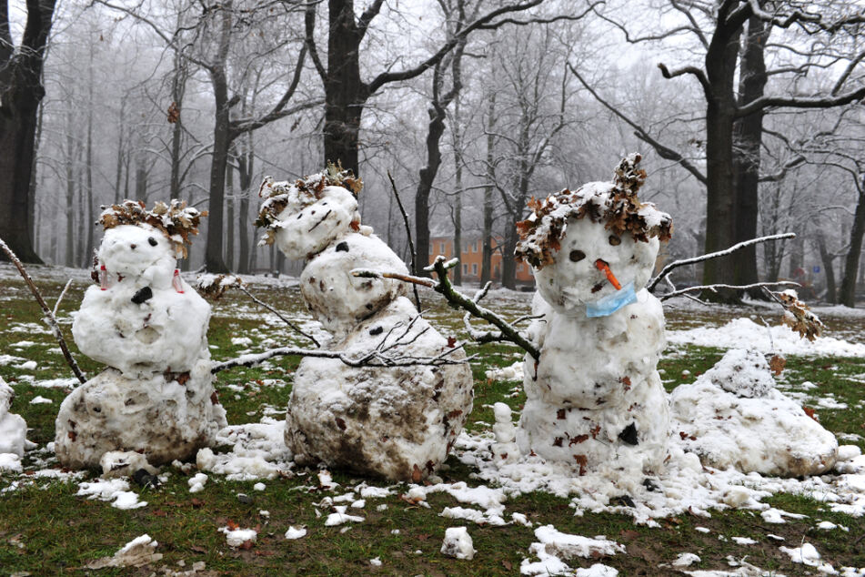 Die drei von der Waldstelle: Machen sie das Rennen um den Chemnitzer Super-Schneemann?