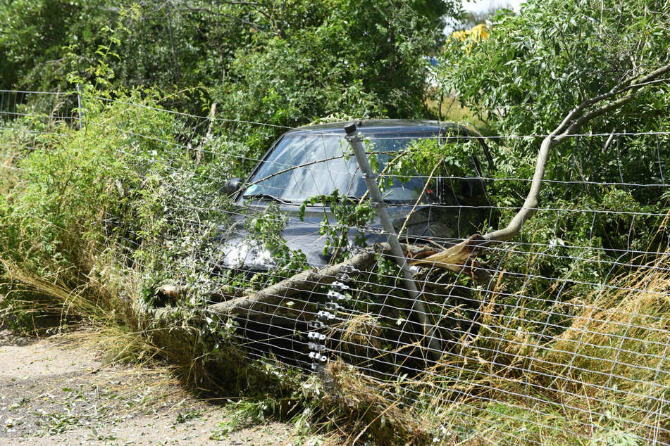 Die Fahrt des Wagens fand ihr Ende erst am Wildschutzzaun.