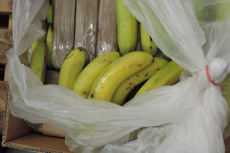 6,5 Tonnen Kokain zwischen Bananen versteckt!
