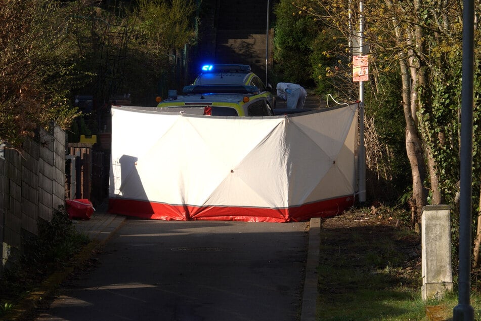 Der 22-jährige Fahrer erlag seinen Verletzungen noch vor Ort.