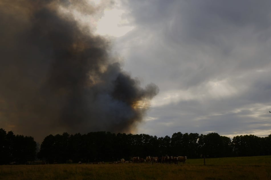 Die weitere Brandwache übernimmt nun die Landesforstverwaltung.