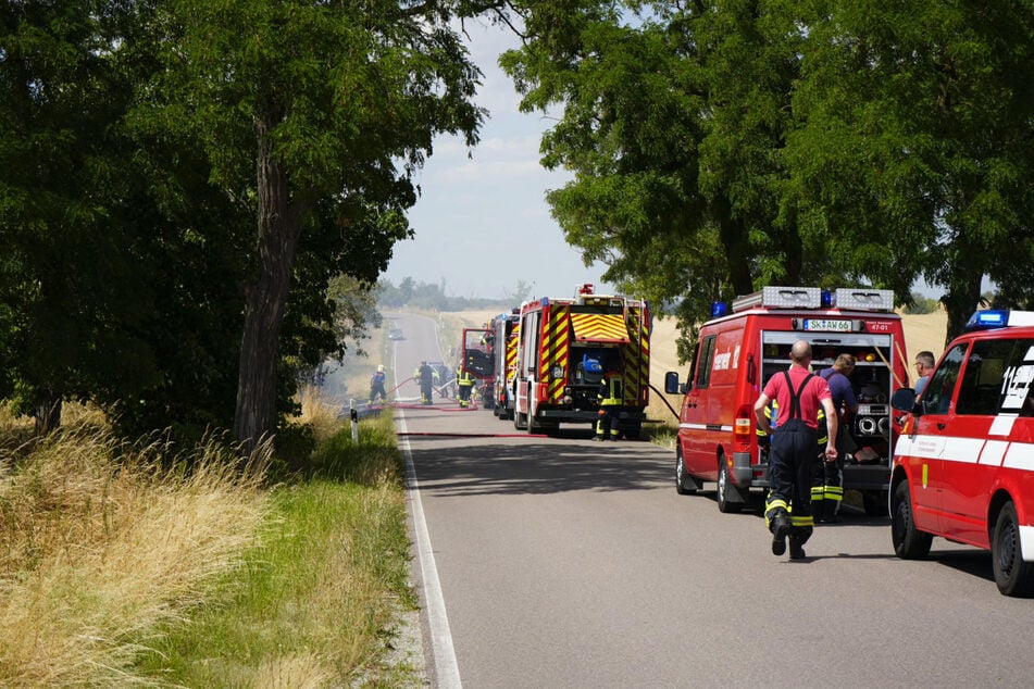 Den ersten Brand zwischen Niemberg und Brachstedt konnte die Feuerwehr schnell löschen.