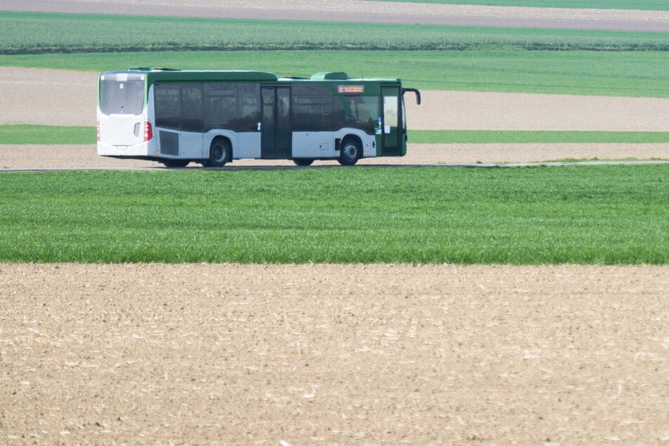 Warum der Bus von der Straße abkam, ist unklar. (Symbolbild)