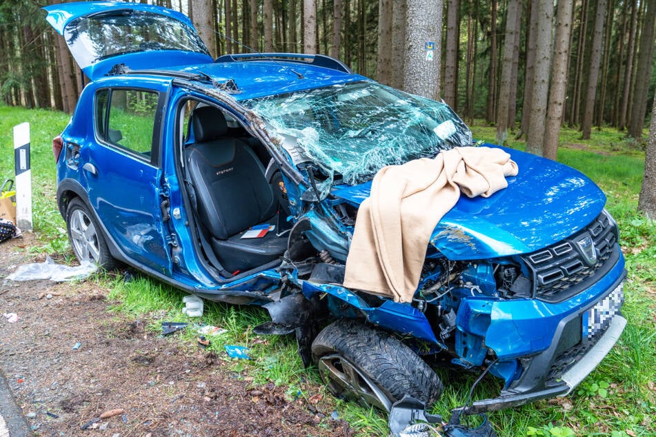 Der Fahrer (65) und seine Beifahrerin (60) erlitten bei der Kollision mit einem Baum schwere Verletzungen.