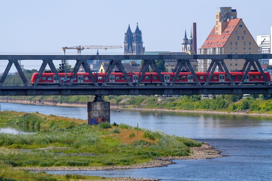 Der Pegel der Elbe in Magdeburg könnte in den kommenden Tagen einen neuen Tiefstand-Rekord aufstellen.