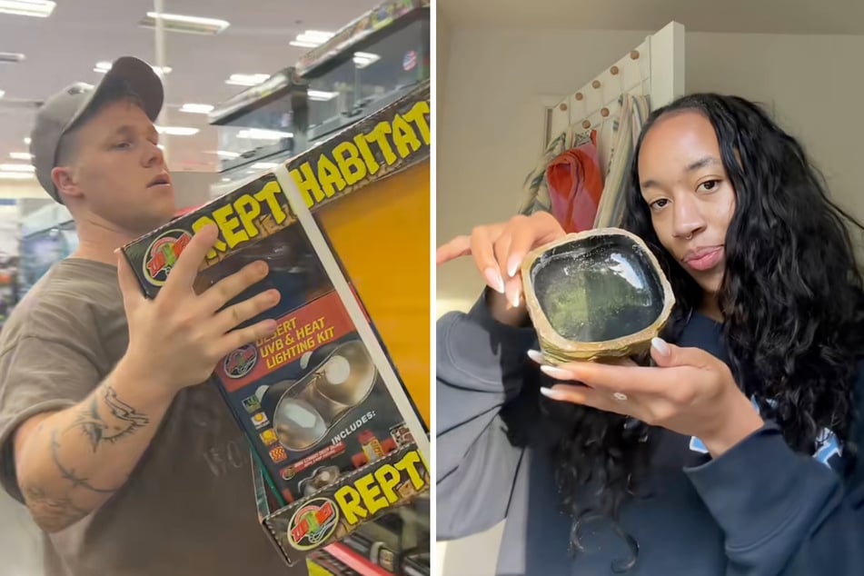 Jack machte Nägel mit Köpfen, nachdem er den Gecko gefunden hatte, kaufte direkt ein Terrarium. Seine Verlobte Brianna begriff im Nachhinein, dass die Schale aus dem Wohnzimmer zum Gecko gehörte.