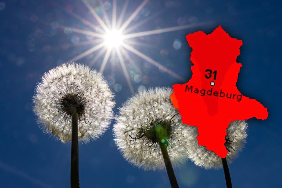 Hitze-Welle und Sonne satt in Sachsen-Anhalt! Dann kommt der Temperatursturz