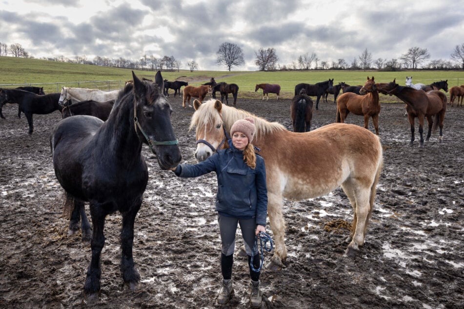 Die Pferde von Susanne Morgenstern (42) würden direkt unter einem der drei Windräder weiden.