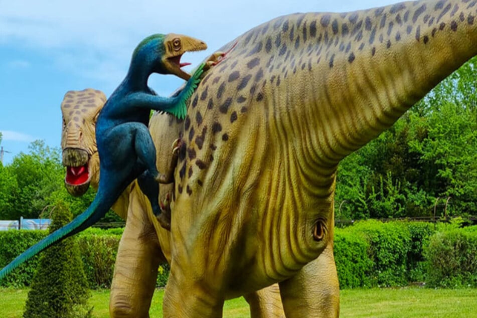 Nach 30 Jahren Saurier-Spaß: "Dinopark Agrarium" ist pleite!