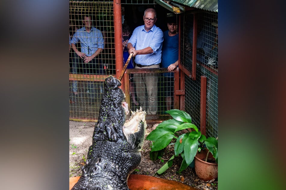 Krokodil "Cassius" ist in Australien so berühmt, dass 2022 sogar der Ex-Premierminister Scott Morrison zur Fütterung vorbeikam. (Archivbild)